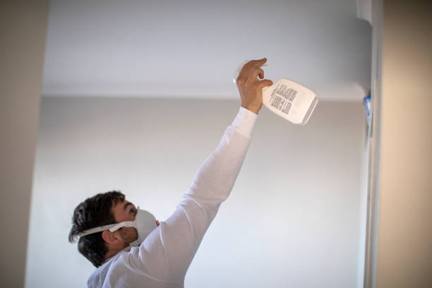 Best Emergency Mold Remediation in Folsom, CA